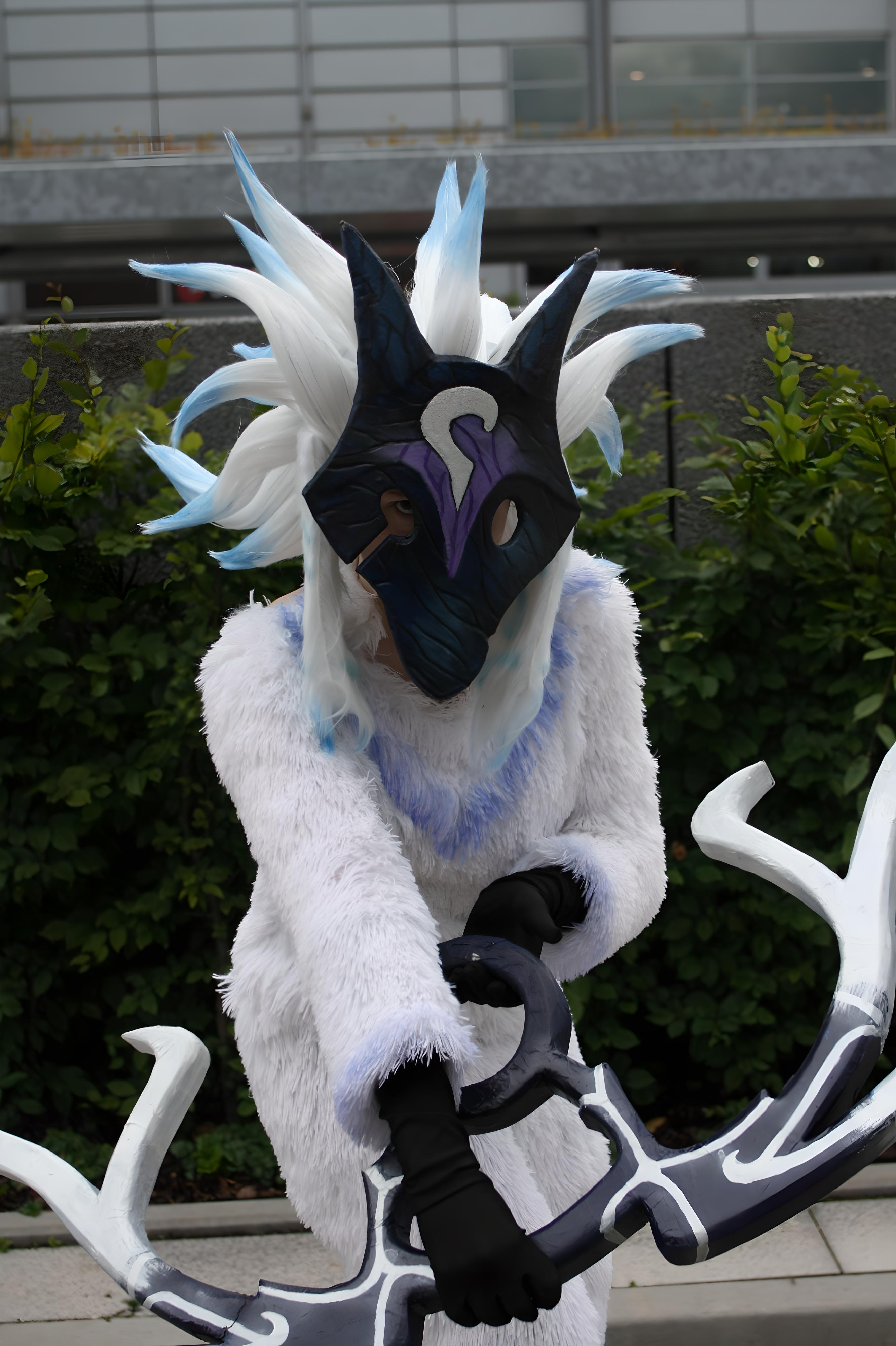 Dokomi Bild IMG_0382.jpg 
