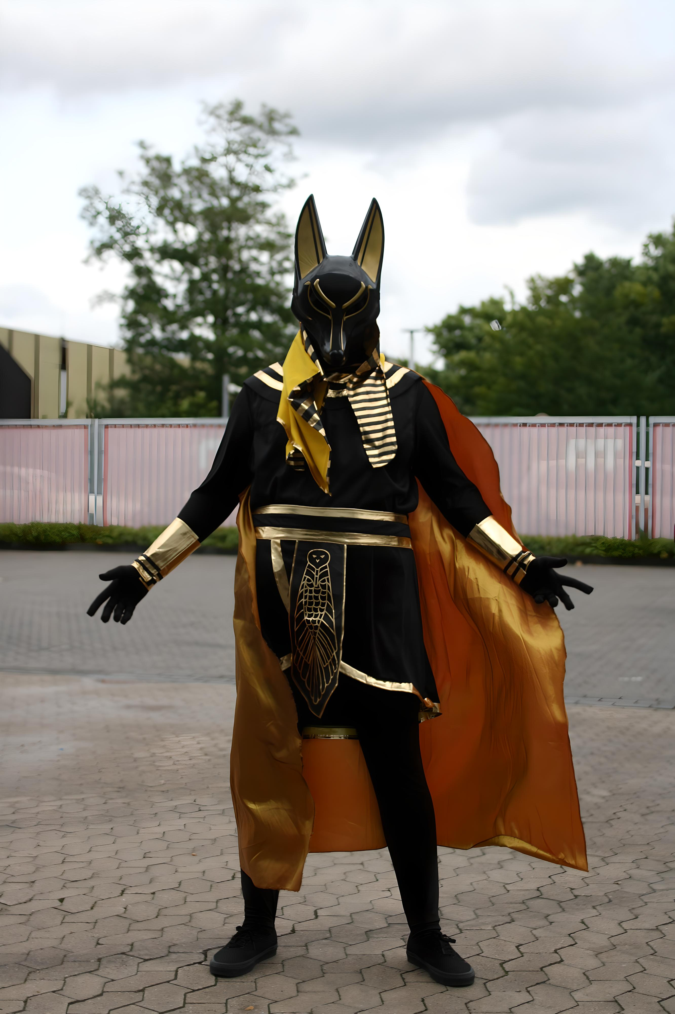 Dokomi Bild IMG_0461.jpg 